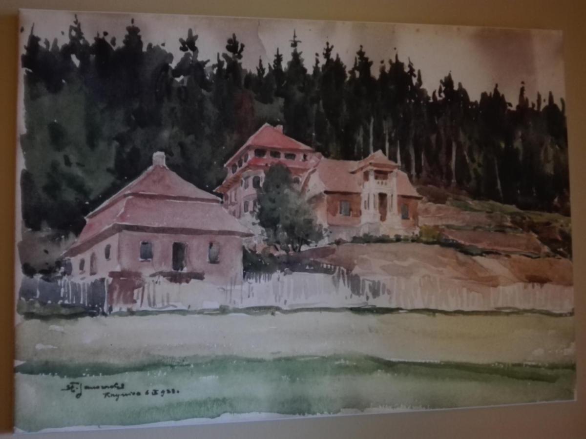 Apartament Słoneczny - Krynica Zdrój Krynica-Zdrój Exterior foto